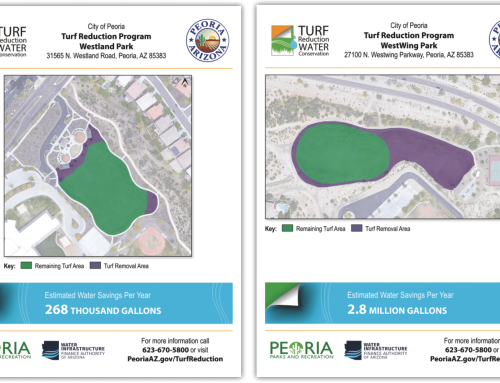 Non-field turf removal project to conserve water at city parks