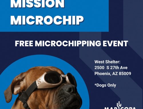 Mission Microchip