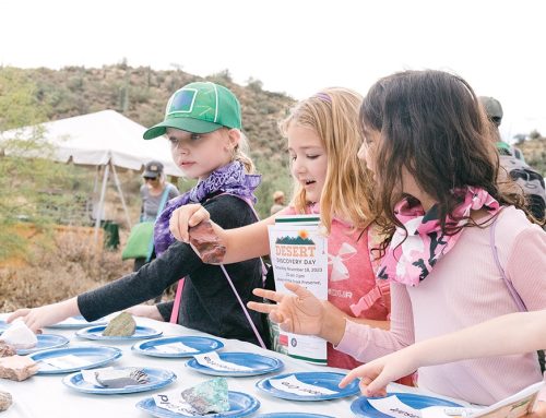 Discover the Wonders of the Sonoran Desert at Desert Discovery Day