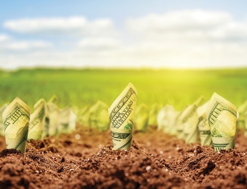 Investing is Like Planting a Garden (Without the Weeds)