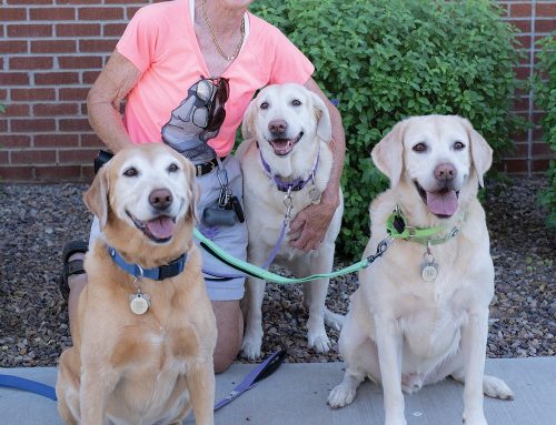 New leash on life for  dog-loving hospice volunteer