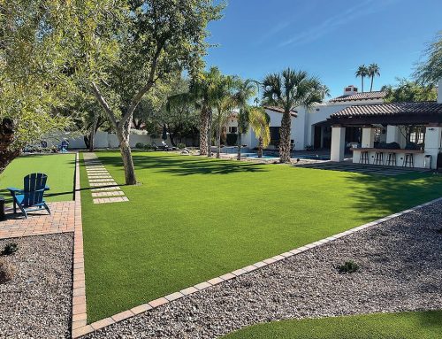 Turf Monster Won’t Trip You Up on Landscaping